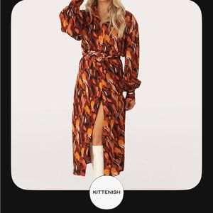 Kittenish Fall Dress